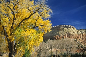 Travel Destinations In America Drucke: Cottonwood
