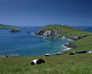 Colourful Irish Scenery Drucke: County Kerry