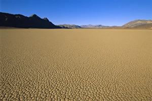 Death Valley Landscape Photography Drucke: Cracked mud flats