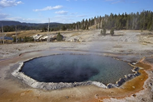 Upper Geyser Basin Drucke: Crested Pool, Upper Geyser Basin