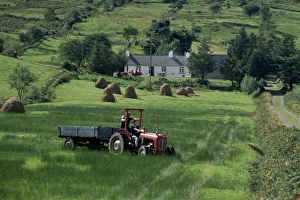 Ireland Photography Drucke: Croft with hay cocks and tractor