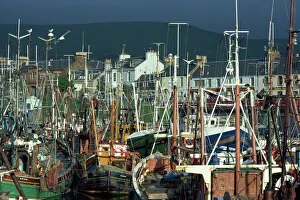 United Kingdom Harbour Drucke: Crowded harbour at Girvan
