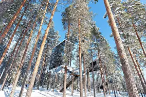 Lapland Winter Wonderland Drucke: Cube shaped accommodation in the icy landscape of the boreal forest