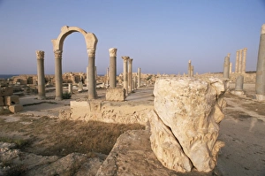 African UNESCO Sites Drucke: Curia Gate