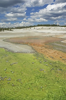 Norris Geyser Basin Drucke: D2x070604145