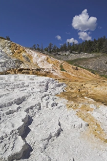 Yellowstone National Park Landmarks Drucke: D2x070604187