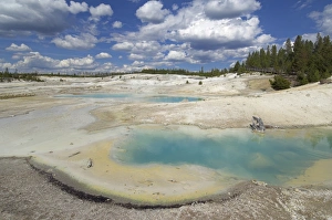Norris Geyser Basin Drucke: D2x070604249