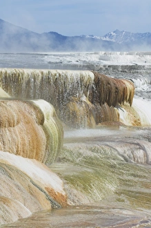 Mammoth Hot Springs Wyoming Drucke: D2x070605217