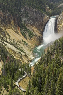 Yellowstone River Waterfall Drucke: D2x070607033