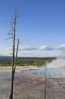 Midway Geyser Basin Drucke: D2x070607119
