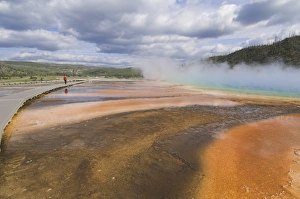 Midway Geyser Basin Drucke: D2x070607161