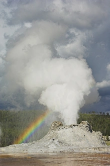Yellowstone National Park Photography Drucke: D2x070608148