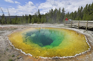 Yellowstone Geology Drucke: D2x070608240