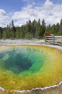 Yellowstone Geology Drucke: D2x070608242