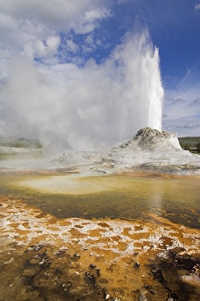 Yellowstone National Park Photos Drucke: D2x070608269