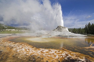 Castle Geyser Eruption Drucke: D2x070608272