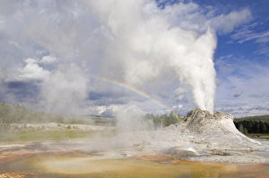 Yellowstone National Park Photography Drucke: D2x070608341