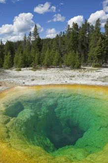 Upper Geyser Basin Drucke: D2x070609239
