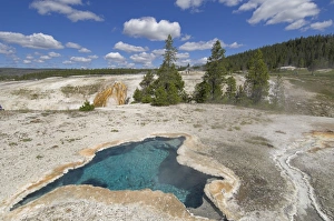 Upper Geyser Basin Drucke: D2x070609292