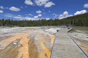Wyoming Travel Destinations Drucke: D2x070609339