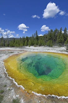 Drucke von Morgenröhren-Teich im Oberen Geysersbassin in dem Yellowstone-Nationalpark ein Weltkulturerbe der UNESCO in Wyoming Vereinigte Staaten von Amerika Nordamerika USA Kulturerbestätten Drucke: D2x070609412