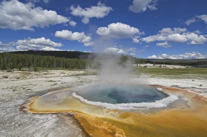 Upper Geyser Basin Drucke: D2x070609453