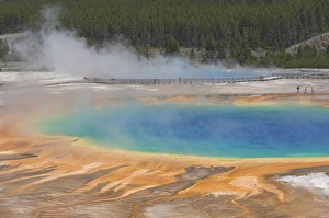 Midway Geyser Basin Drucke: D2x070611102