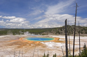 Midway Geyser Basin Drucke: D2x070611136