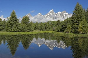 North America Wilderness Photos Drucke: D2x070612048