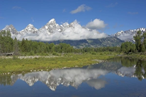 Snake River Reflections Drucke: D2x070612079