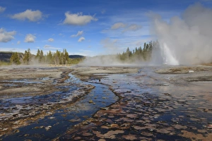 American Natural Landmarks Drucke: Daisy Geyser, one of the most predictable
