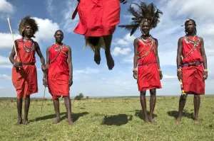 Drucke von Masi tanzt Kriegertanzen in der Masaimara im kenianischen Afrika Kenia Drucke: Masi tanzt Kriegertanzen in der Masaimara-Nationalpark Kenia Ostafrika Afrika