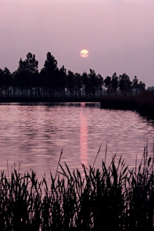 European Sunset Landscape Drucke: Danube Bend