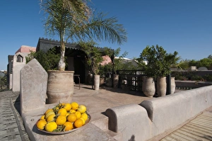 Morocco Tourism Drucke: Dar Darma Riad, Marrakech, Morocco, North Africa, Africa