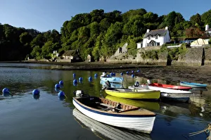 Devon Drucke: Der Dart Estuär bei Dittisham Süddevon England Vereinigtes Königreich Europa