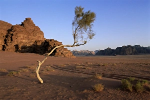 Wüstenlandschaft