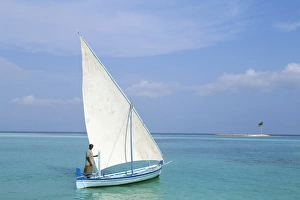 Indian Ocean Island Getaway Drucke: Dhoni and sandbar