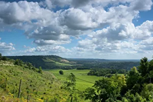 Surrey Drucke: Weite Sicht von Box Hill nahe Dorking im Surrey Hills und Norddunnsen Land