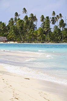 Colorful Palm Tree Photography Drucke: Dog Island looking across to Devil Island, Comarca de Kuna Yala, San Blas Islands