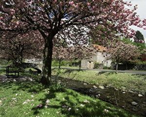 European Union Natural Wonders Drucke: Dollar in spring