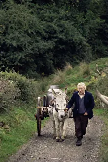 Working Animal Images Drucke: Donkey cart
