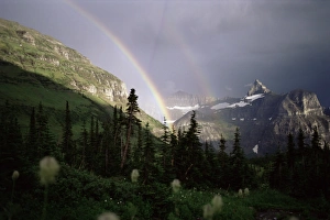 Glacier National Park Landscape Drucke: Double rainbow with bear grass in foreground