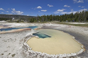 Yellowstone National Park Geology Drucke: Doublet Pool, Upper Geyser Basin, Yellowstone National Park, UNESCO World Heritage Site