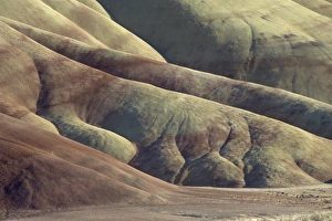 John Day Fossil Beds Monument Drucke: Detail from the dramatic landscape of the Painted Hills