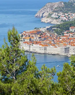Drucke von Alter Hafen von Dubrovnik im UNESCO-Weltkulturerbe in der Region Dalmatien in Kroatien und Europa Kroatien Drucke: Alter Hafen von Dubrovnik Weltkulturerbe in der Region Dalmatien Kroatien Europa