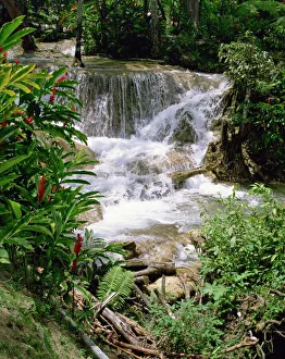 Drucke von Dunns River Falls, Ocho Rios, Jamaika, West Indies, Karibik, Zentralamerika Jamaika Drucke: Dunns River Falls
