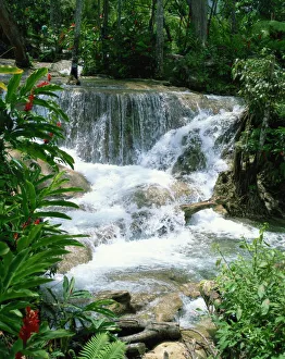 Drucke von Dunner's Fall Wasserfälle in Ocho Rios Jamaika Westindien Karibik Zentralamerika Jamaika Drucke: Dunner's Fall