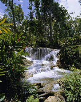Drucke von Die Dunns-River-Fälle Jamaika Karibik Westindien Mittelamerika Jamaika Drucke: Kühlerfälle von Dunns River