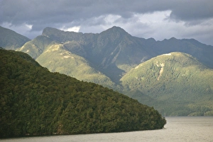 Tranquil Mountain Scene Drucke: Dusky Sound