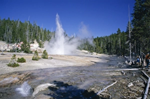 Yellowstone Geysers Drucke: Echinus Geyser